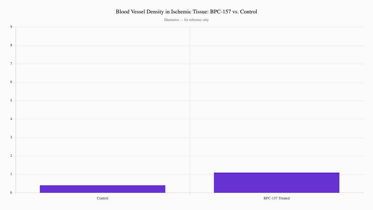 Blood Vessel Density in Ischemic Tissue: BPC-157 vs. Control