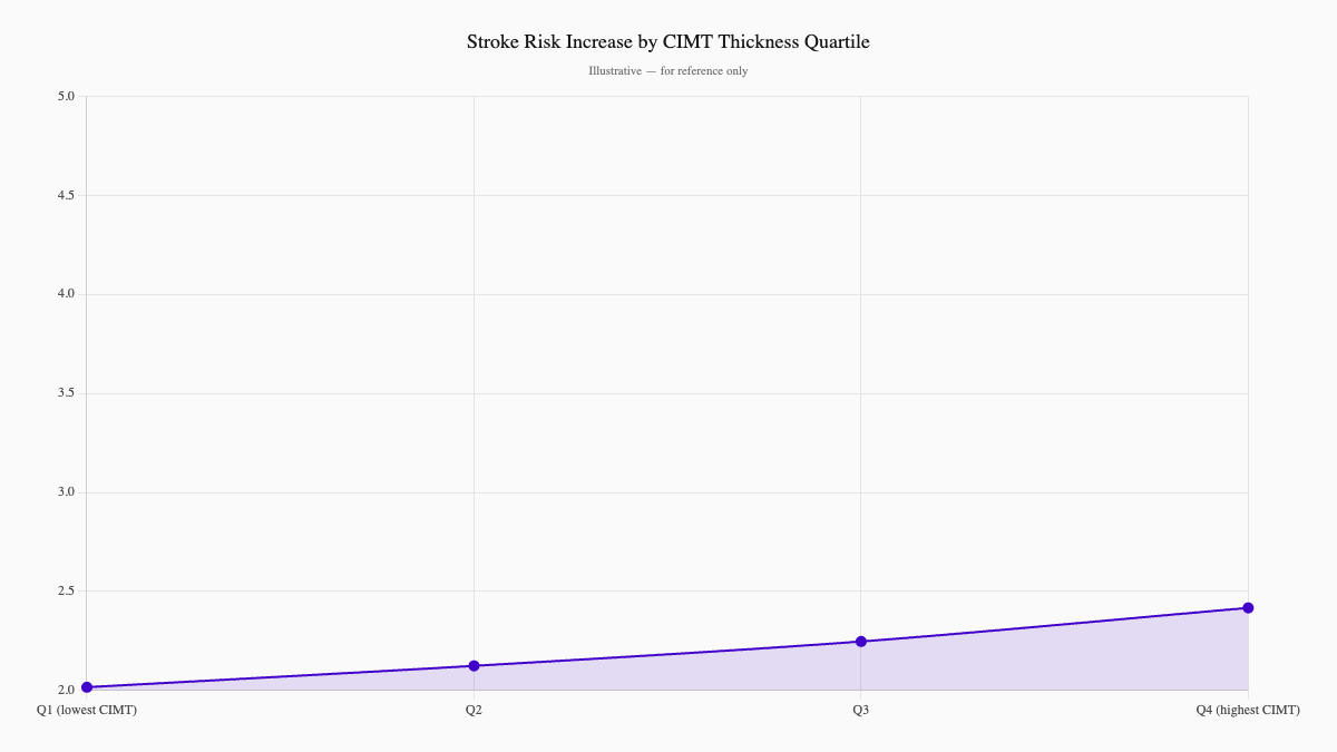 Stroke Risk Increase by CIMT Thickness Quartile