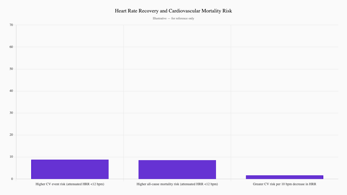 Heart Rate Recovery and Cardiovascular Mortality Risk