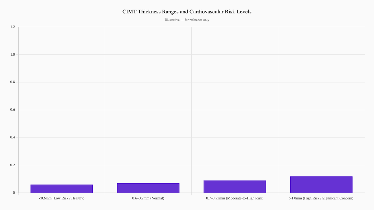 CIMT Thickness Ranges and Cardiovascular Risk Levels
